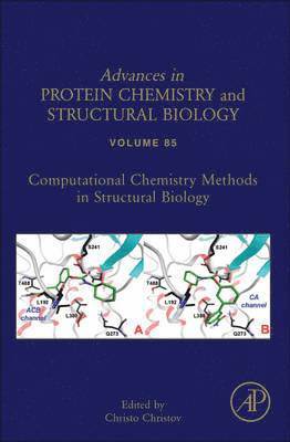 Computational Chemistry Methods in Structural Biology, Inbunden