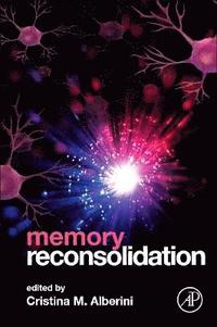 bokomslag Memory Reconsolidation