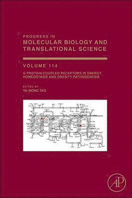 bokomslag G Protein-Coupled Receptors in Energy Homeostasis and Obesity Pathogenesis