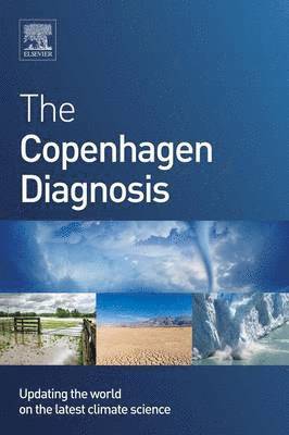 26 Leading Scientists, Leading Scientists, Ian Allison, Nathaniel Bindoff - The Copenhagen Diagnosis, Häftad