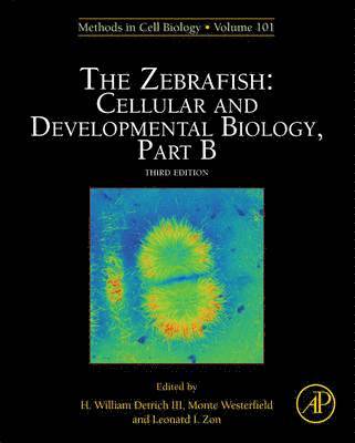 bokomslag The Zebrafish: Cellular and Developmental Biology, Part B