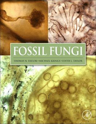 Fossil Fungi 1
