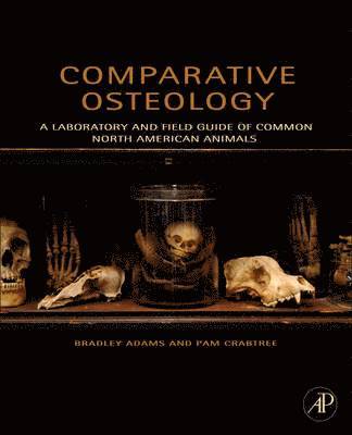 bokomslag Comparative Osteology