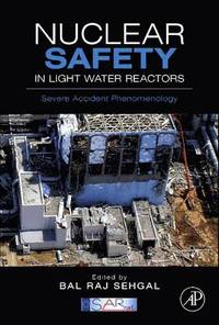 bokomslag Nuclear Safety in Light Water Reactors