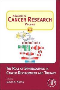 bokomslag The Role of Sphingolipids in Cancer Development and Therapy