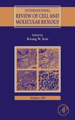 bokomslag International Review of Cell and Molecular Biology