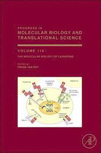 bokomslag The Molecular Biology of Cadherins