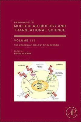 The Molecular Biology of Cadherins 1