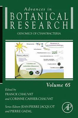 bokomslag Genomics of Cyanobacteria