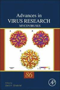 bokomslag Mycoviruses
