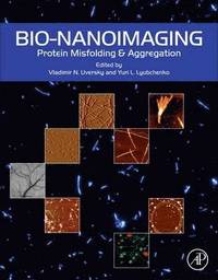 bokomslag Bio-nanoimaging