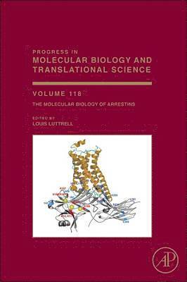 bokomslag Molecular Biology of Arrestins