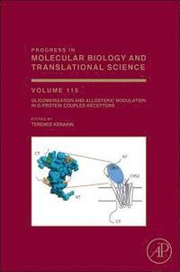 bokomslag Oligomerization and Allosteric Modulation in G-Protein Coupled Receptors