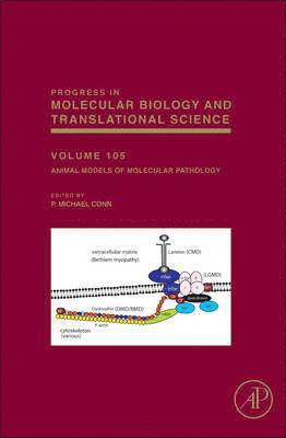 P. Michael Conn - Animal Models of Molecular Pathology, Inbunden
