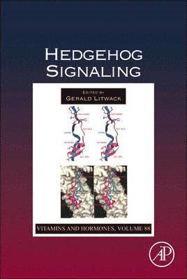 bokomslag Hedgehog Signaling