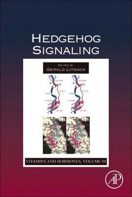 Hedgehog Signaling 1