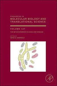 bokomslag The Mitochondrion in Aging and Disease