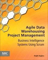 bokomslag Agile Data Warehousing Project Management
