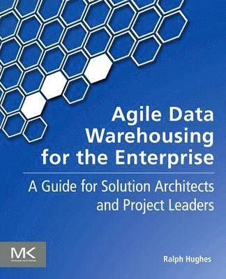 bokomslag Agile Data Warehousing for the Enterprise