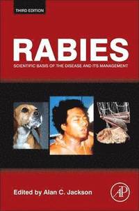 bokomslag Rabies