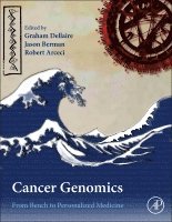 Graham Dellaire, Jason N Berman, Robert J. Arceci - Cancer Genomics, Inbunden