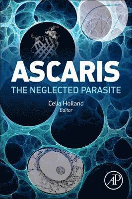 Ascaris 1