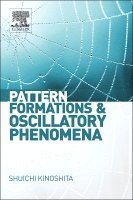 bokomslag Pattern Formations and Oscillatory Phenomena