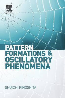 Shuichi Kinoshita - Pattern Formations and Oscillatory Phenomena, Häftad