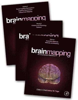 Brain Mapping, Inbunden