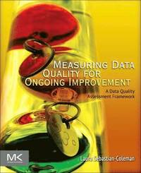 bokomslag Measuring Data Quality For Ongoing Improvement: A Data Quality Assessment Framework