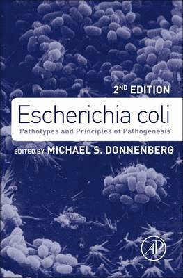 bokomslag Escherichia coli