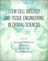 Ajaykumar Vishwakarma, Paul Sharpe, Songtao Shi, Murugan Ramalingam - Stem Cell Biology and Tissue Engineering in Dental Sciences, Inbunden