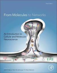bokomslag From Molecules to Networks