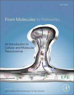 John H. Byrne, Ruth Heidelberger, M. Neal Waxham, John H Byrne, M Neal Waxham - From Molecules to Networks, Inbunden