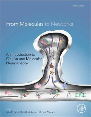 From Molecules to Networks 1