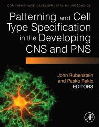 bokomslag Patterning and Cell Type Specification in the Developing CNS and PNS
