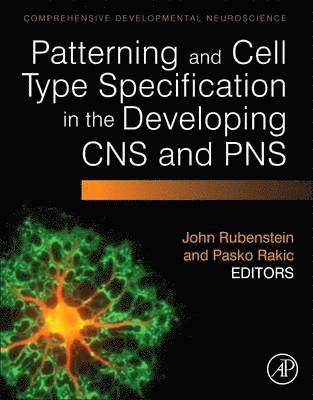 Patterning and Cell Type Specification in the Developing CNS and PNS 1