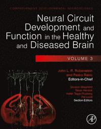 bokomslag Neural Circuit Development and Function in the Healthy and Diseased Brain