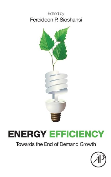 bokomslag Energy Efficiency