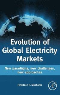 bokomslag Evolution of Global Electricity Markets