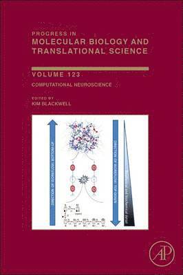 Computational Neuroscience, Inbunden