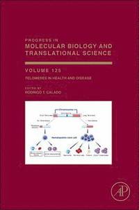 bokomslag Telomeres in Health and Disease