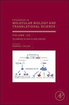 bokomslag Telomeres in Health and Disease