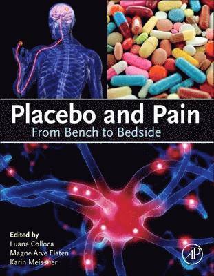 bokomslag Placebo and Pain