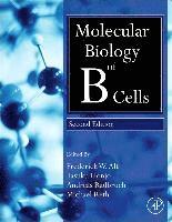 bokomslag Molecular Biology of B Cells