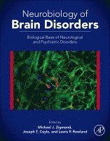 Michael J. Zigmond, Joseph T. Coyle, Lewis P. Rowland - Neurobiology of Brain Disorders, Inbunden