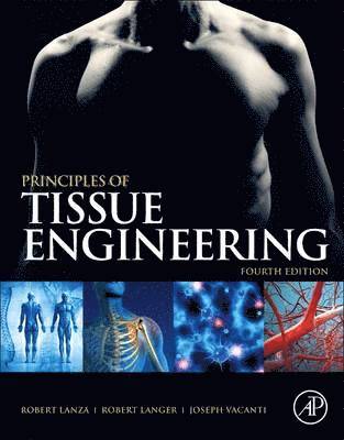 Robert Lanza, Robert Langer, Joseph P. Vacanti - Principles of Tissue Engineering, Inbunden