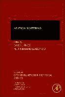 Neutron Scattering