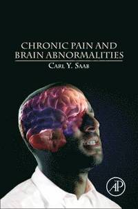 bokomslag Chronic Pain and Brain Abnormalities