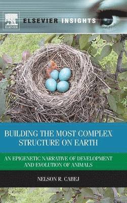 Building the Most Complex Structure on Earth